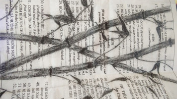 Truc Vietnamese Cuisine