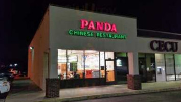 Panda Chinese