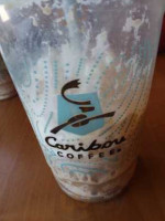 Caribou Coffee