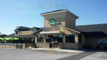 The Greene Turtle Sports Grille Dover