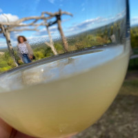 Benmarl Winery