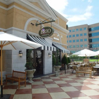 Brio Italian Grille Woodlands