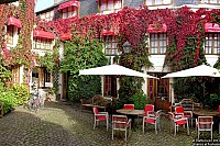 France et Fuchsias