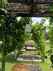 Bolgheri Green