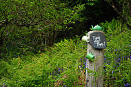 Kerrera Tea Garden